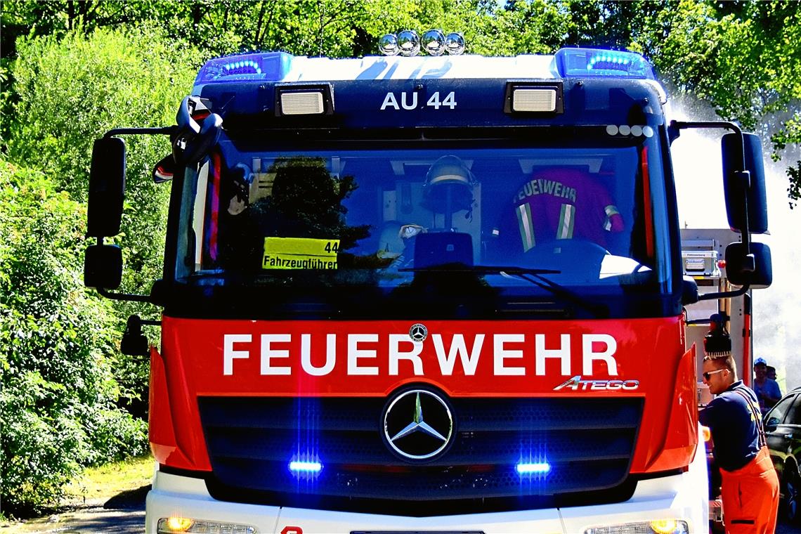 Oppenweiler: Flächenbrand nach Reisigverbrennung Es hat auf einer Wiesenfläche von 150 Quadratmetern gebrannt. Symbolfoto: Tobias Sellmaier