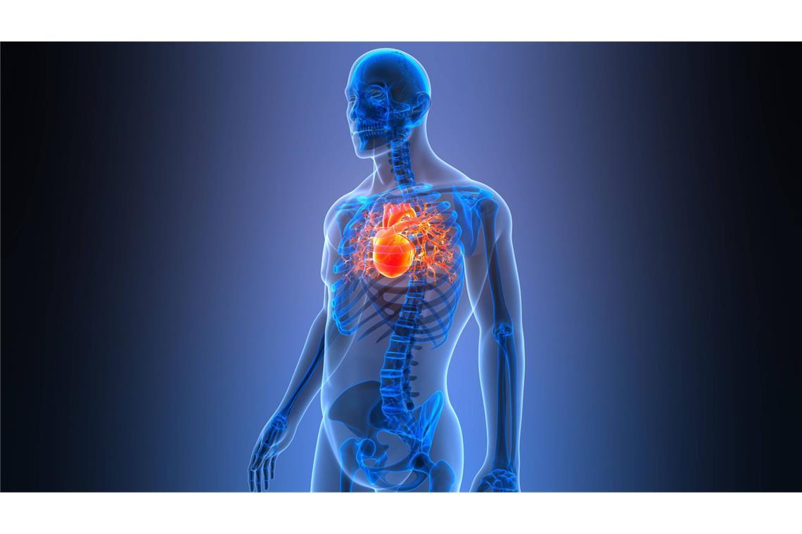 Es ist nicht der normale Schnupfen, es ist nicht jeder Atemwegsinfekt, sondern es geht um die schweren Infektionen, die zu einem Herzinfarkt führen können.