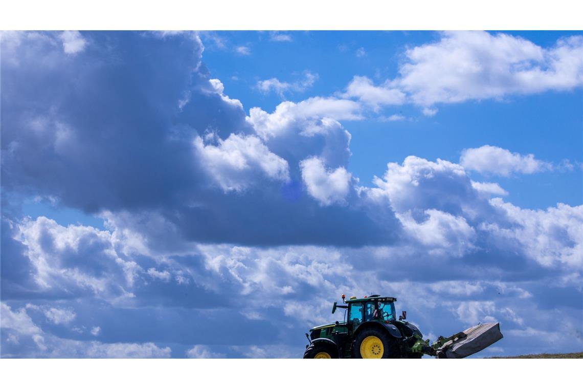 Es lohnt sich oft nicht: Die Produktionskosten für Agrarprodukte liegen teils über den Verkaufspreisen. (Archivbild)