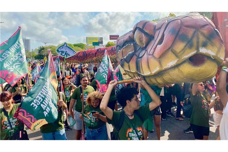 Es sind nicht die einzigen Proteste rund um den Weltklimagipfel.