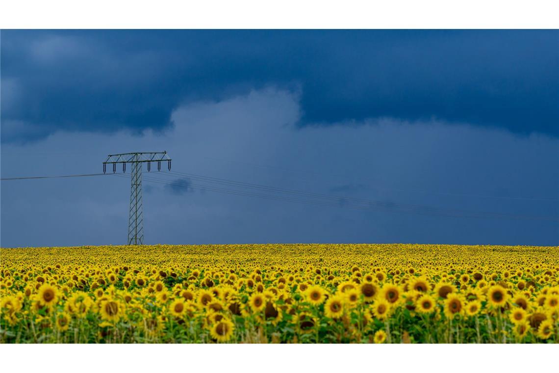 Ungemütliche Wetteraussichten mit Gewitter und Regen Es wird am Mittwoch wieder nass.