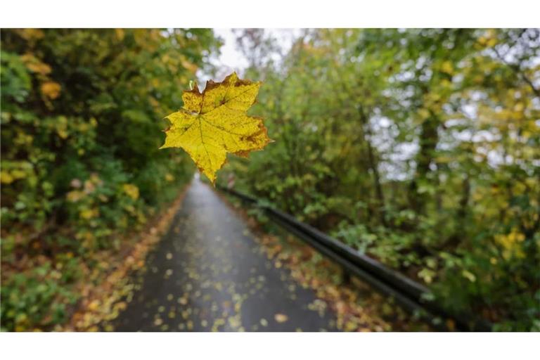 Es wird nass und kalt am Wochenende. (Archivbild)