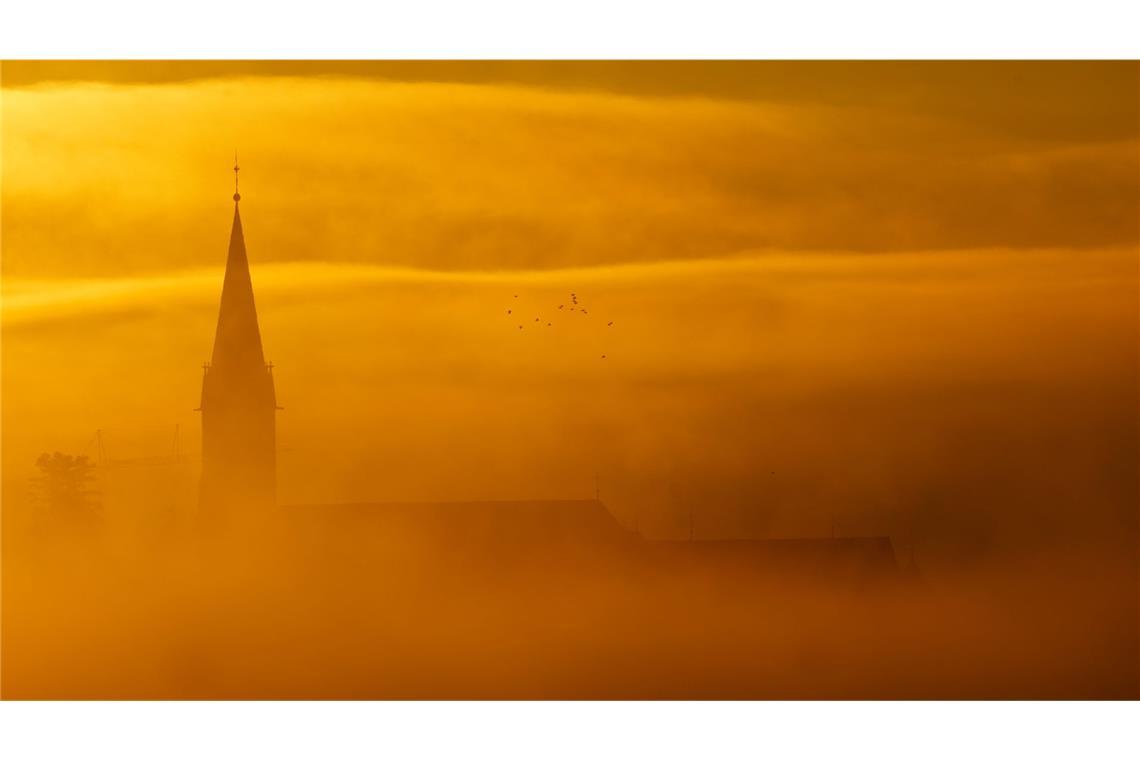Es wird neblig am Wochenende.