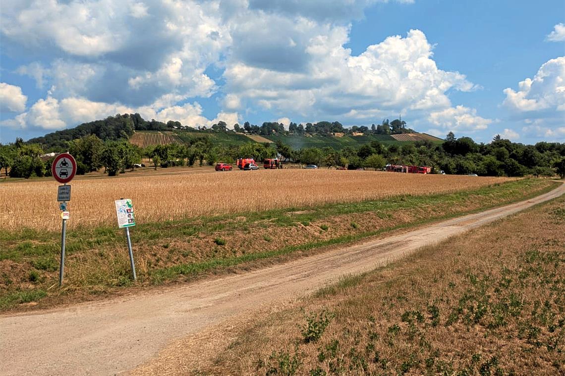 Etliche Einsatzfahrzeuge sind vor Ort. Foto: privat