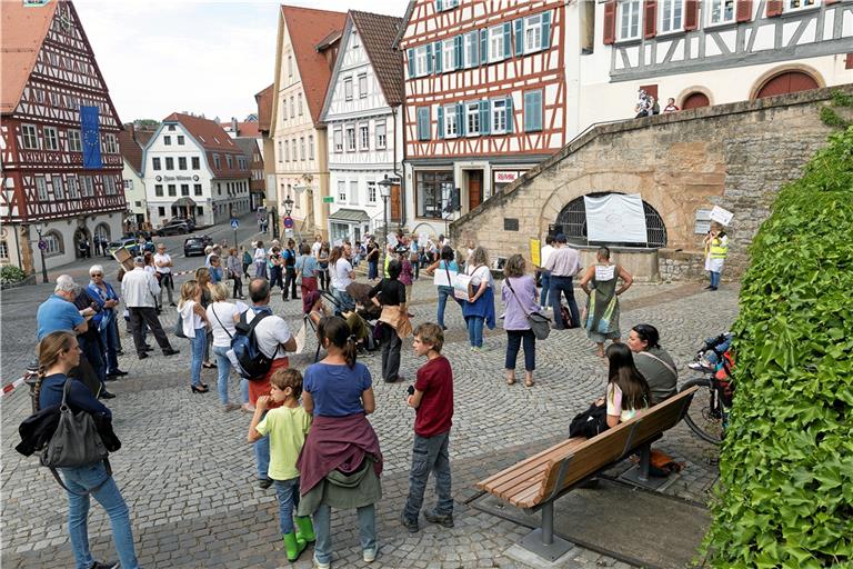 Etwa 60 Demonstranten versammelten sich auf dem Marktplatz in Backnang. Foto: J. Fiedler