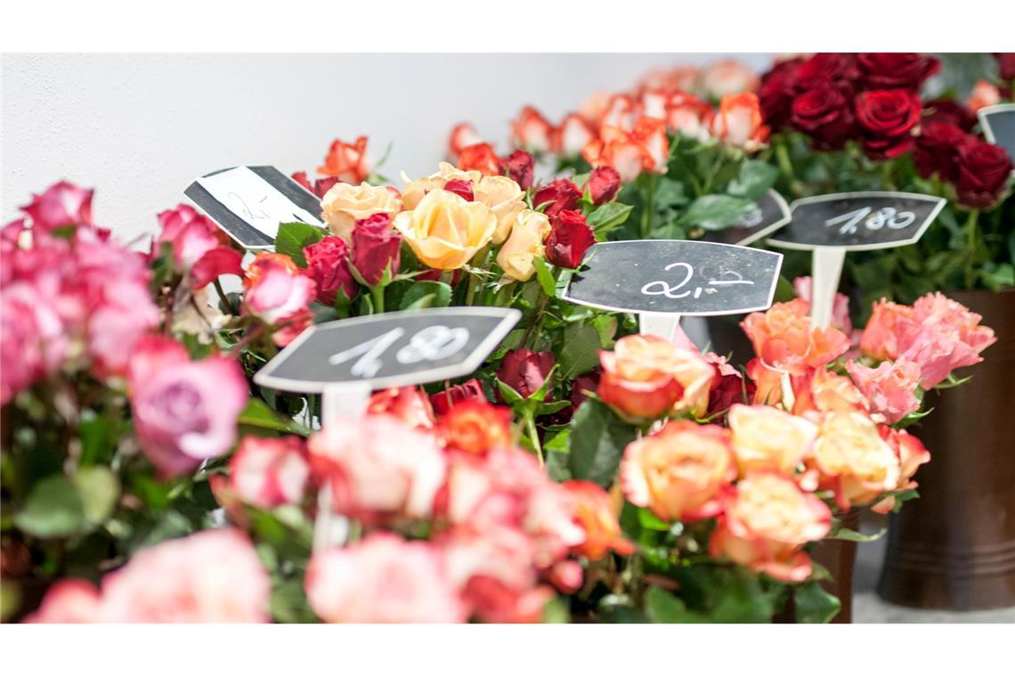 Warum riechen alle Blumenläden gleich und sind Rosen super? Etwa 6.000 Blumenfachgeschäfte gibt es in Deutschland. (Archivbild)