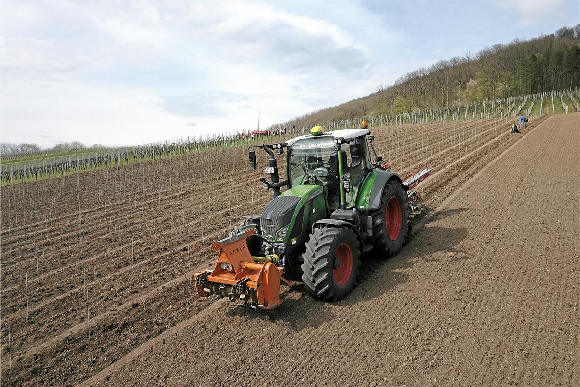 Etwa 8000 Reben kann die Pflanzmaschine pro Tag setzen, das entspricht je nach Abstandsregelung etwa ein bis zwei Hektar Fläche. Fotos: privat