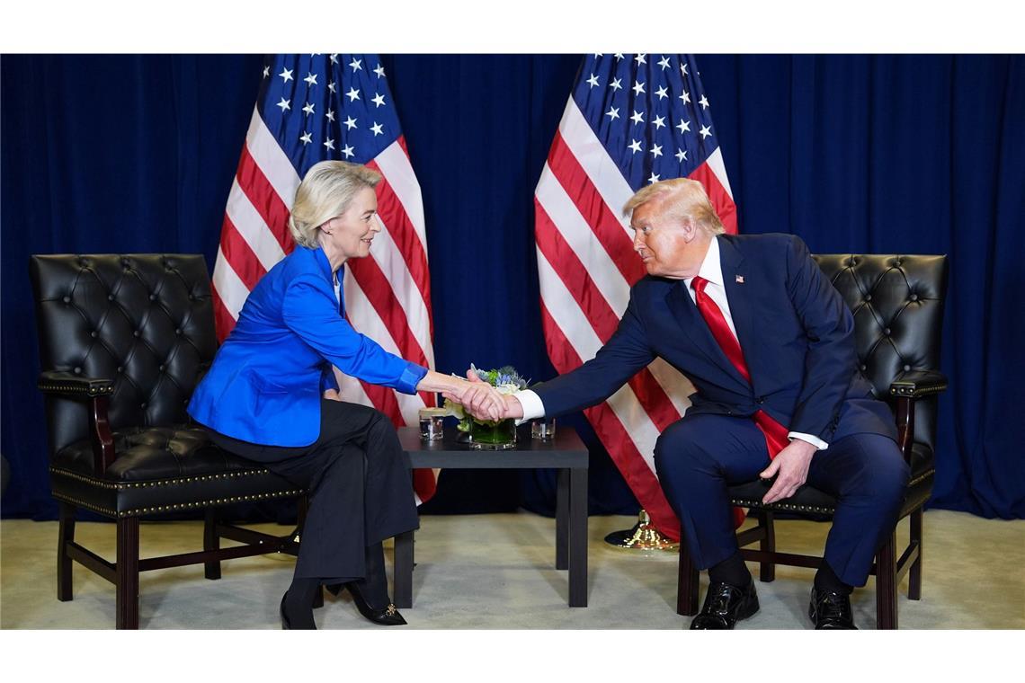 EU-Kommissionschefin Ursula von der Leyen hat US-Präsident Donald Trump in Aussucht gestellt, dass EU-Unternehmen künftig noch mehr LNG in Amerika kaufen. (Archivbild)