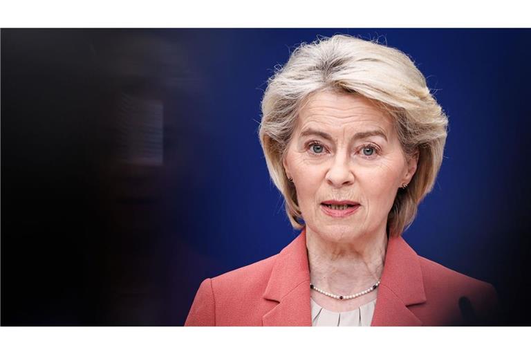 EU-Kommissionschefin Ursula von der Leyen setzt das Mercosur-Abkommen in Kraft.