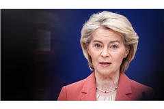 EU-Kommissionschefin Ursula von der Leyen setzt das Mercosur-Abkommen in Kraft.