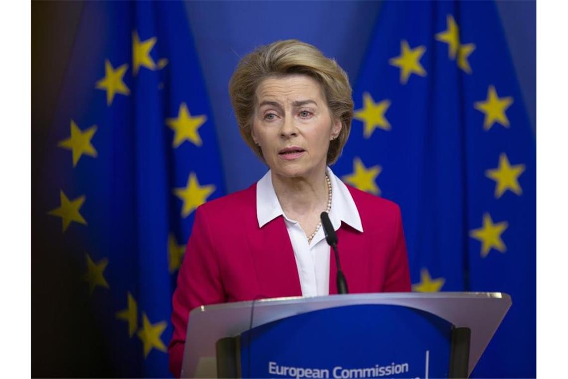 EU-Kommissionspräsidentin Ursula von der Leyen hat das Ziel ausgegeben, die EU bis 2050 klimaneutral zu machen. Foto: Virginia Mayo/AP/dpa