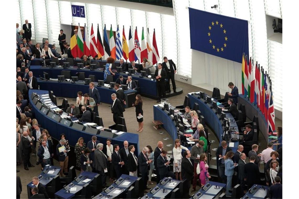 EU-Parlamentarier stellen sich an, um ihre Stimme abzugeben. Foto: Michael Kappeler