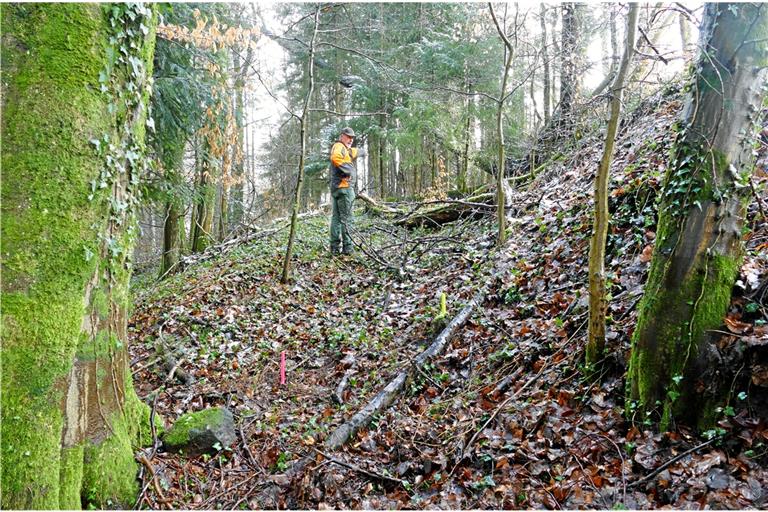 Eugen Kugler ist früher so zur Schule im Hager gelaufen. Farbige Pflöcke zeigen an, wo ein Markstein steht oder stehen sollte. Foto: Ute Gruber