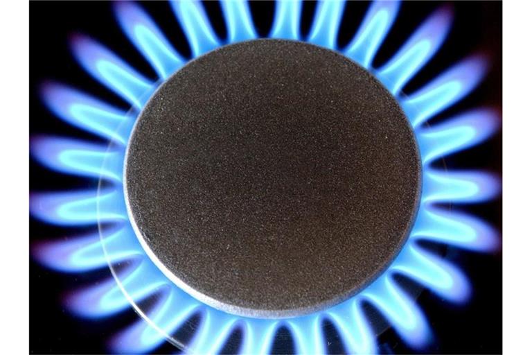 Experten sind sich uneins, ob Gas in diesem Jahr eher teurer oder vielleicht doch billiger wird. Foto: Patrick Pleul/zb/dpa
