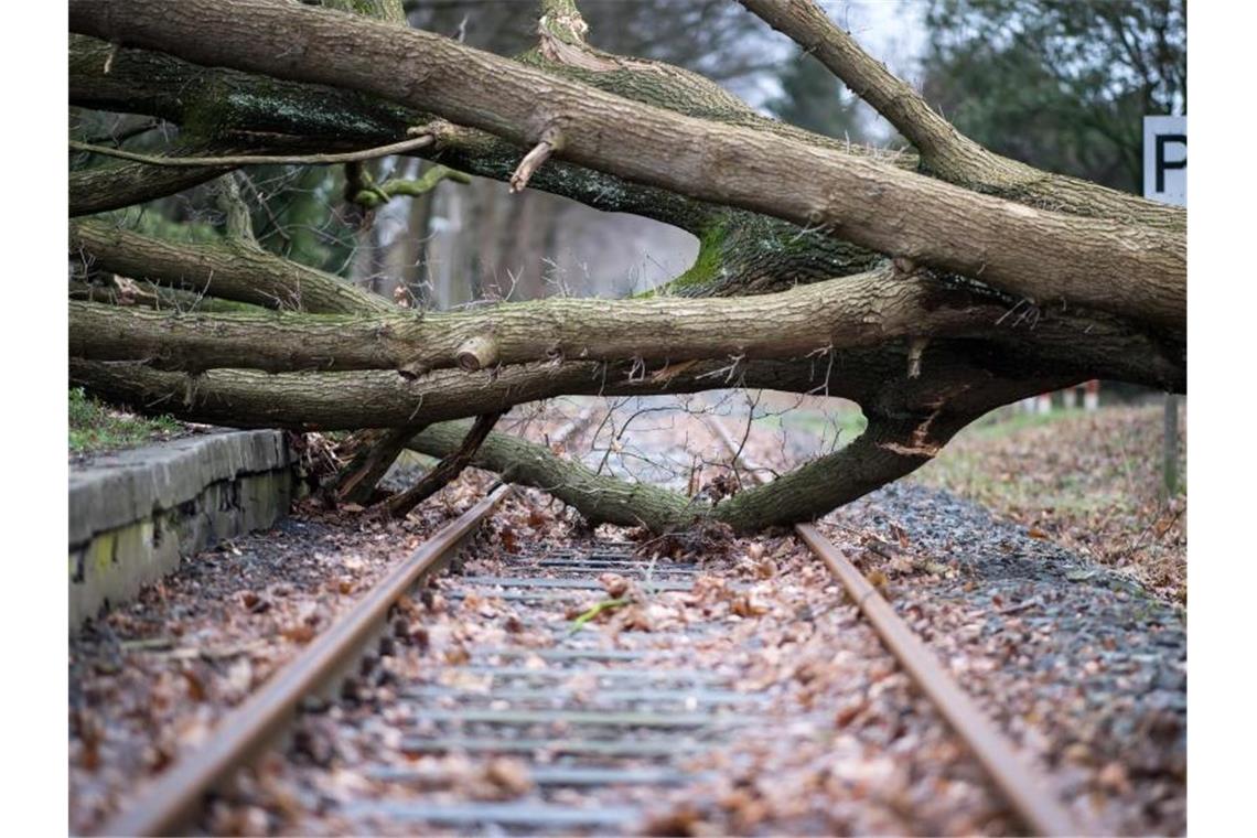 Jugend muss sich auf deutlich mehr Extremwetter einstellen