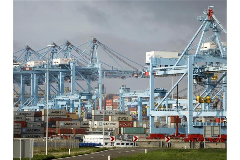 Fahnder haben 2021 im Hafen von Rotterdam eine Rekordmenge Kokain sichergestellt. Foto: Peter Dejong/AP/dpa