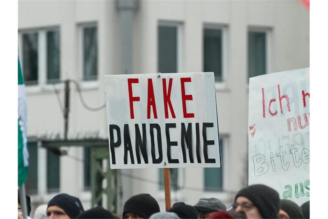 "Fake Pandemie": Nach Ansicht eines Teilnehmers der Demo in Hamburg gibt es überhaupt keine Corona-Pandemie. Foto: Georg Wendt/dpa