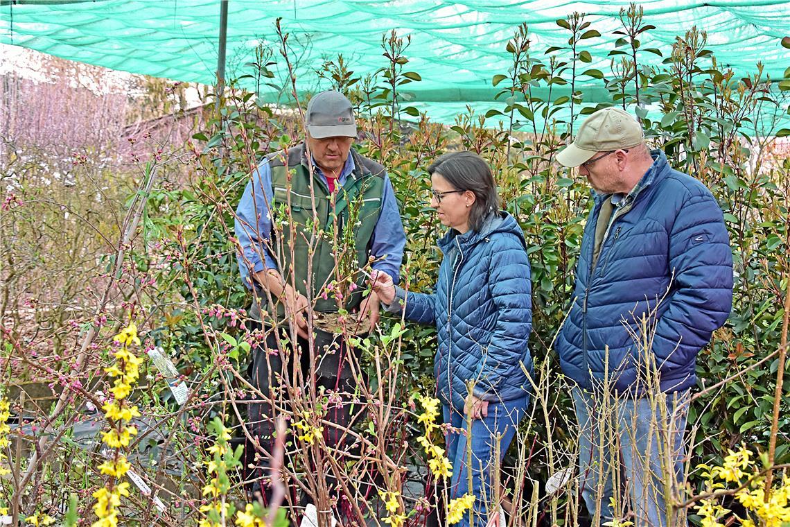 Familie Hanke aus Maubach lässt sich von Kurt Schieber beraten, wie sich ihr vorhandener Garten bienenfreundlich ergänzen lässt.