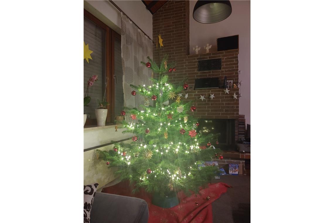 Familienweihnachtsbaum: Groß und klein haben zusammen geschmückt.