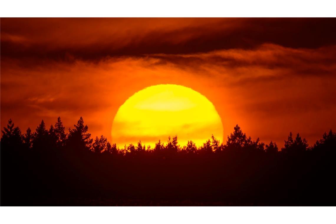 Bilder des Tages Farbenprächtig leuchtet der Sonnenuntergang hinter einem Waldgebiet im östlichen Brandenburg.