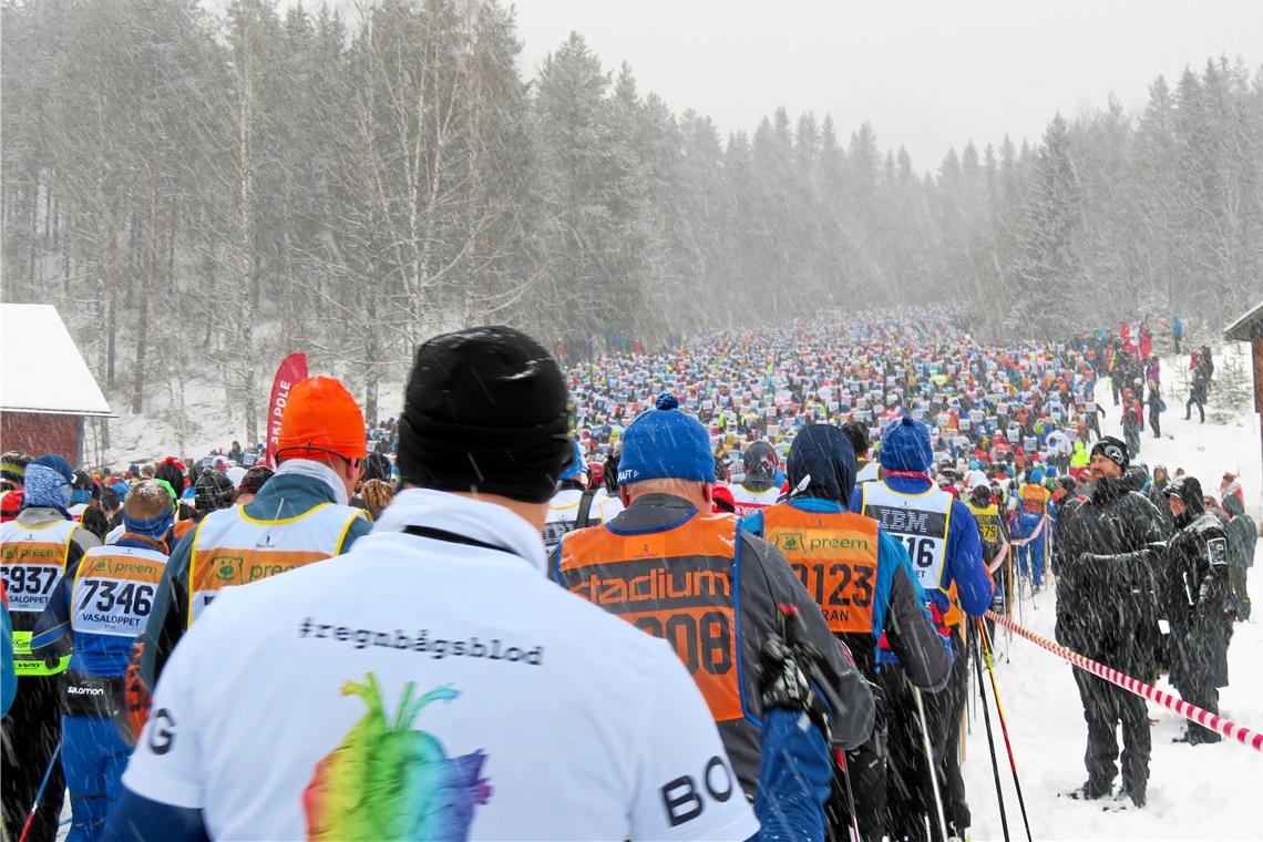 Ein Erlebnis zwischen Lust und Frust Fast 16000 Langläufer machten sich auf, um beim 99. Vasalauf auf Skiern die 90 Kilometer von Sälen nach Mora zu bewältigen. Fotos: R. Werder/K. Kahle