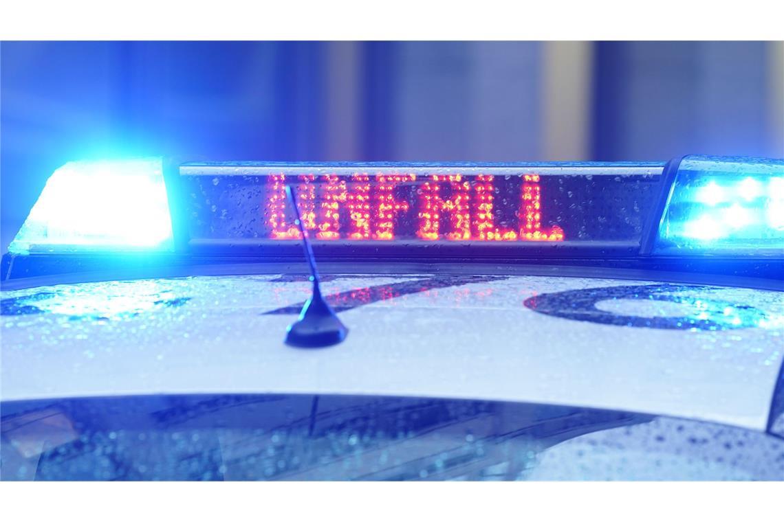 Fast jedes zweite tödlich verunglückte Opfer saß auf einem E-Bike (Symbolfoto).