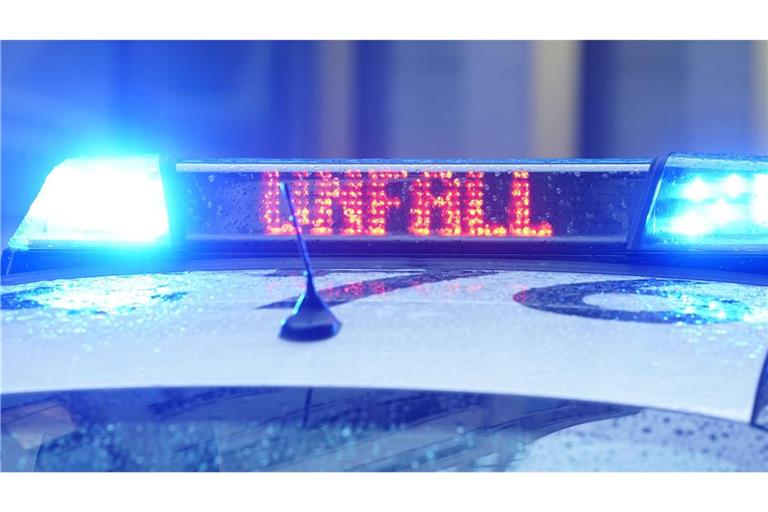 Fast jedes zweite tödlich verunglückte Opfer saß auf einem E-Bike (Symbolfoto).