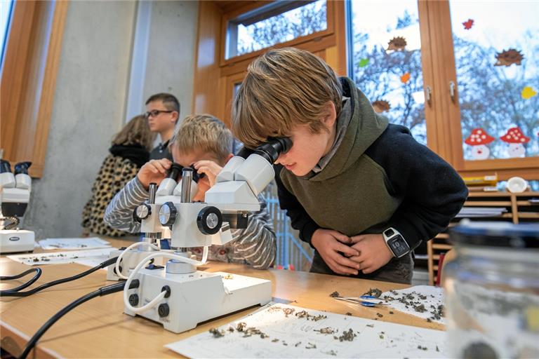 Fasziniert schauen die Kinder durch das Mikroskop. Foto: A. Becher