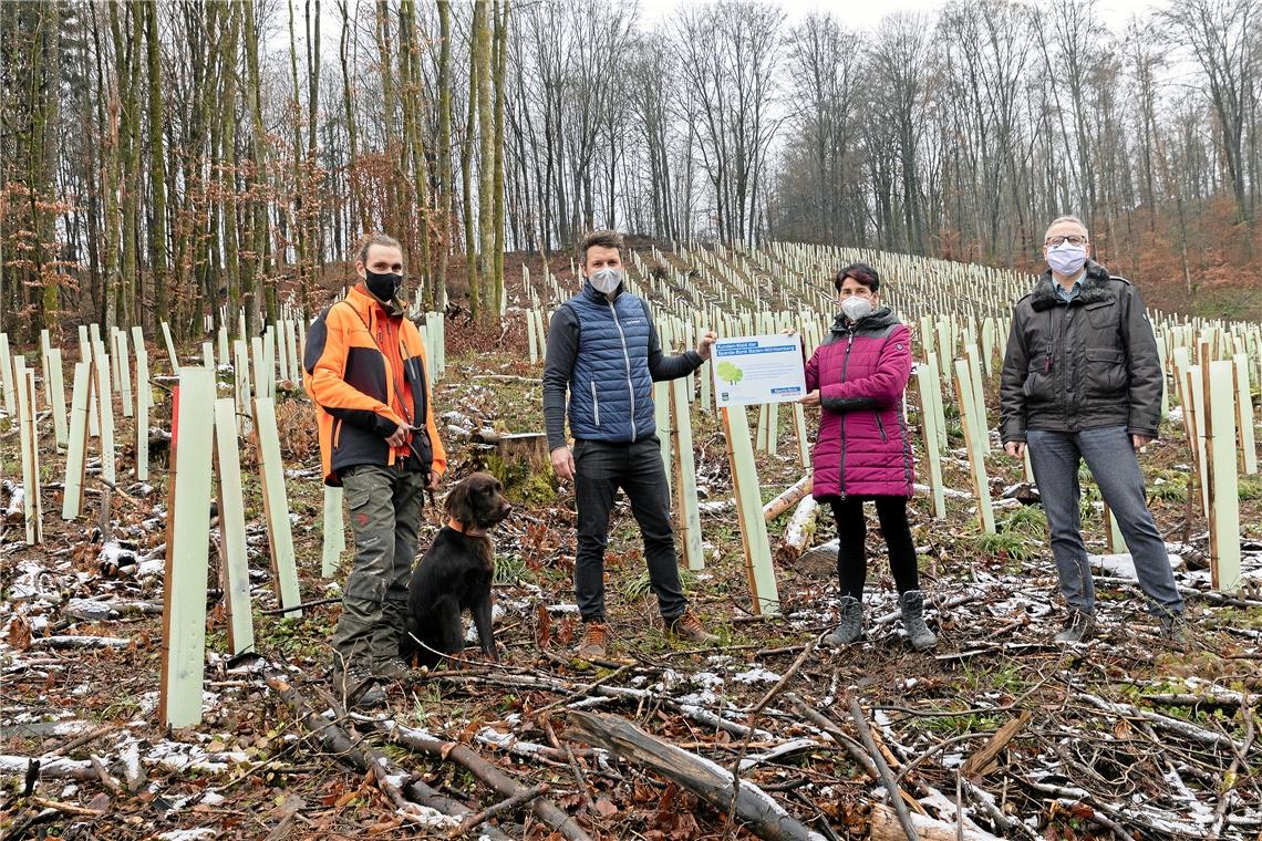 Feierten gestern den Abschluss der Pflanzung von 3000 Stieleichen beim Wüstenbach in Burgstetten (von links): Förster Kilian Knötzele, Patrick Preuß (Leiter der „Sparda-Bank Baden-Württemberg“-Filiale Waiblingen), Bürgermeisterin Irmtraud Wiedersatz und Reinhold Sczuka (stellvertretender Landesvorsitzender der SDW Baden-Württemberg). Foto: J. Fiedler