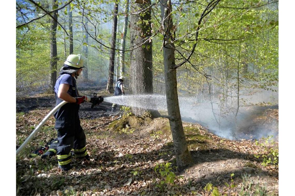 Feuerwehrkräfte löschen einen Waldbrand. Foto: Sven Friebe/SDMG/dpa/Symbolbild