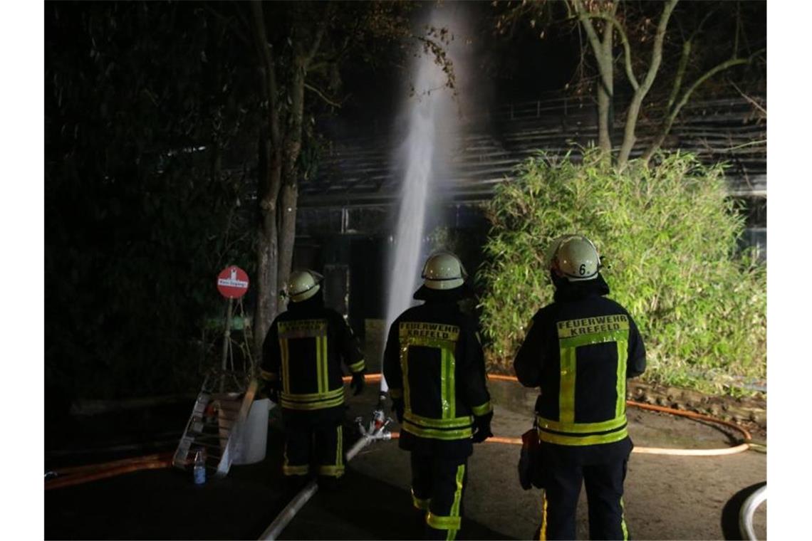Krefelder Zoo nach Brand in Affenhaus wieder geöffnet Feuerwehrleute bei den Löscharbeiten. Foto: David Young/dpa