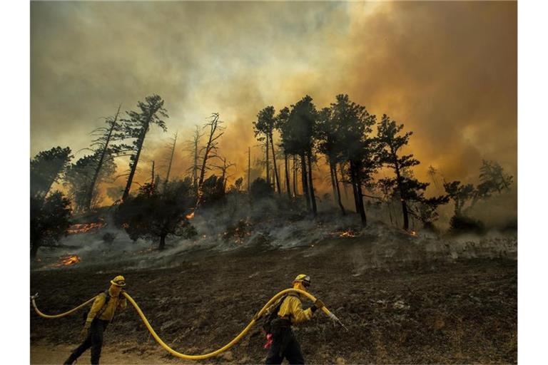 Feuerwehrleute bei der Bekämpfung des „Kincade-Feuers“ in der Nähe von Geyservillle in Kalifornien. Foto: Noah Berger/AP/dpa