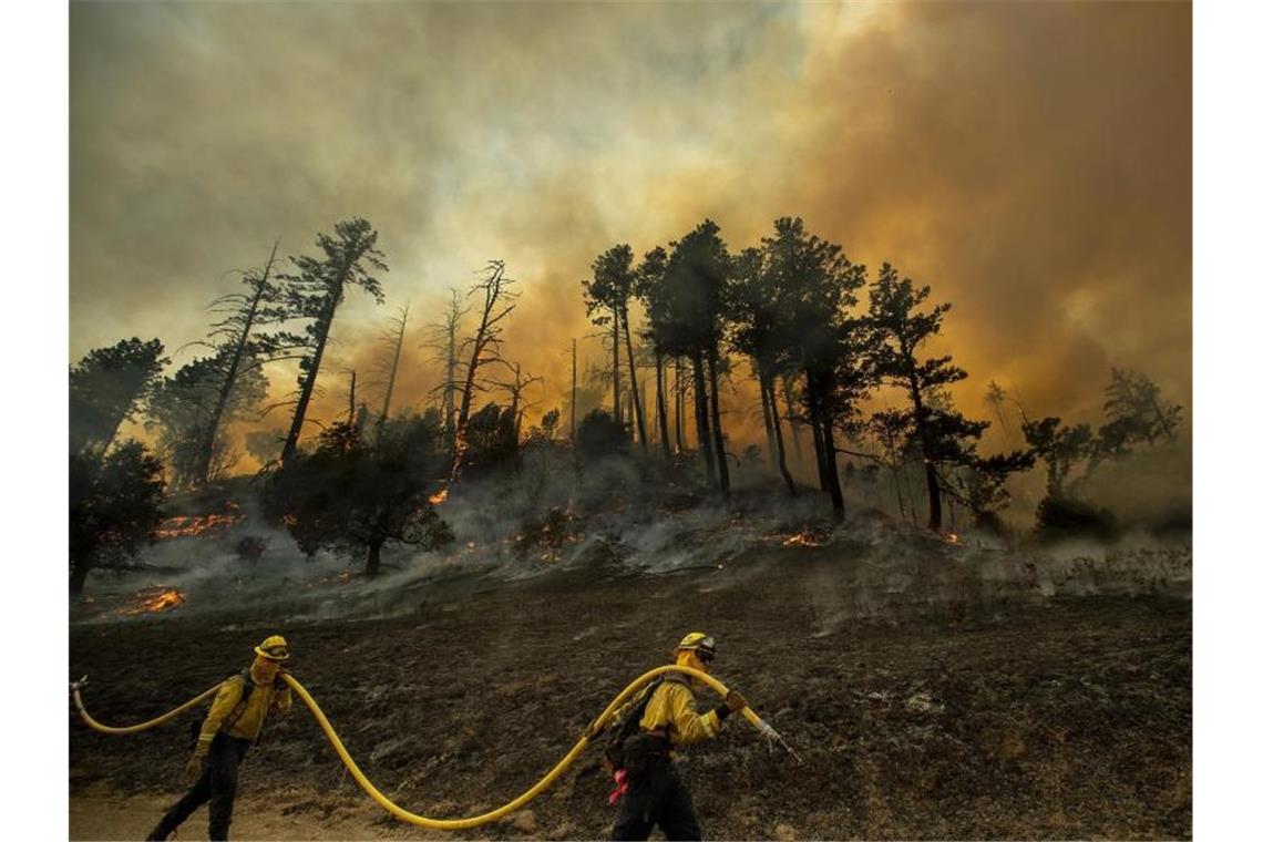 Feuerwehrleute bei der Bekämpfung des „Kincade-Feuers“ in der Nähe von Geyservillle in Kalifornien. Foto: Noah Berger/AP/dpa