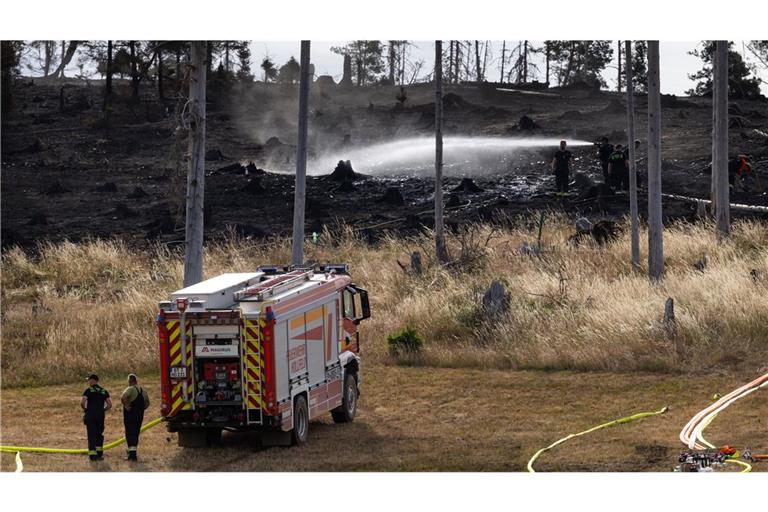 Feuerwehrleute beim Einsatz in Thüringen: Lange spielte das Thema Waldbrand auch in der Ausbildung keine Rolle.