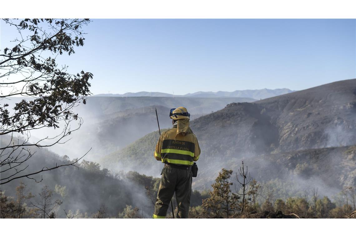 Feuerwehrleute haben die schwersten Waldbrände in Portugal und Spanien nach Behördenangaben unter Kontrolle gebracht.
