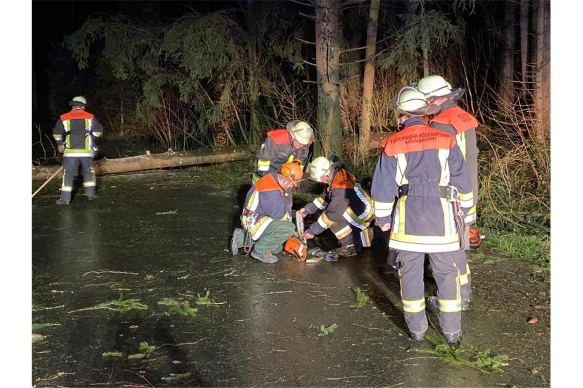Feuerwehrleute räumen in Lindau in Südbayern Zweige und einen umgestürzten Baum von einer Straße. Foto: Benjamin Liss/dpa