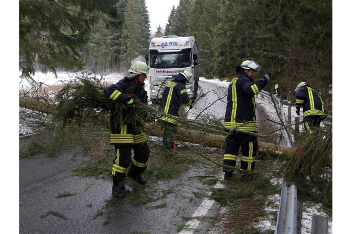 Feuerwehrleute räumen nach dem Sturmtief "Sabine" einen umgestürzten Baum von der Straße. Foto: Matthias Bein/dpa-Zentralbild/ZB