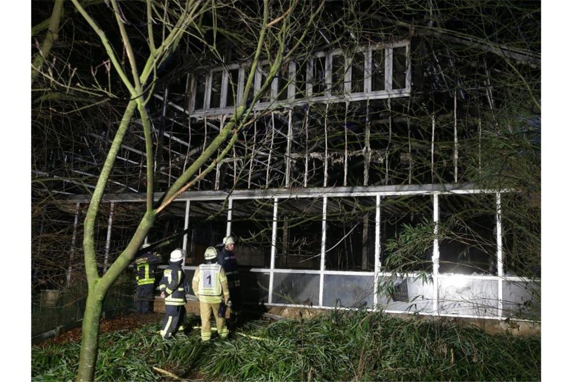 Feuerwehrleute stehen nach Löscharbeiten vor dem Affenhaus. Foto: David Young/dpa