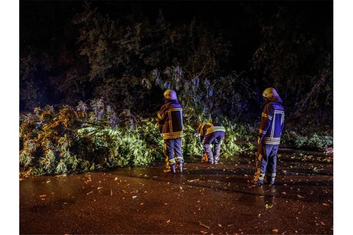 Feuerwehrleute stehen neben einem umgestürzten Baum. Foto: Kohls/SDMG