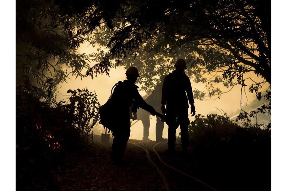 Feuerwehrleute überwachen einen kontrollierten Brand, um die Waldbrände einzudämmen. Foto: Nic Coury/AP/dpa