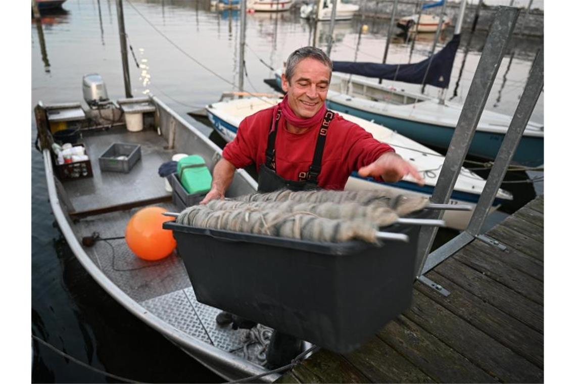Wie geht es weiter mit den Bodensee-Fischern? Fischer Andreas Geiger hievt eine Kiste mit Netzen auf den Steg. Foto: Felix Kästle/dpa