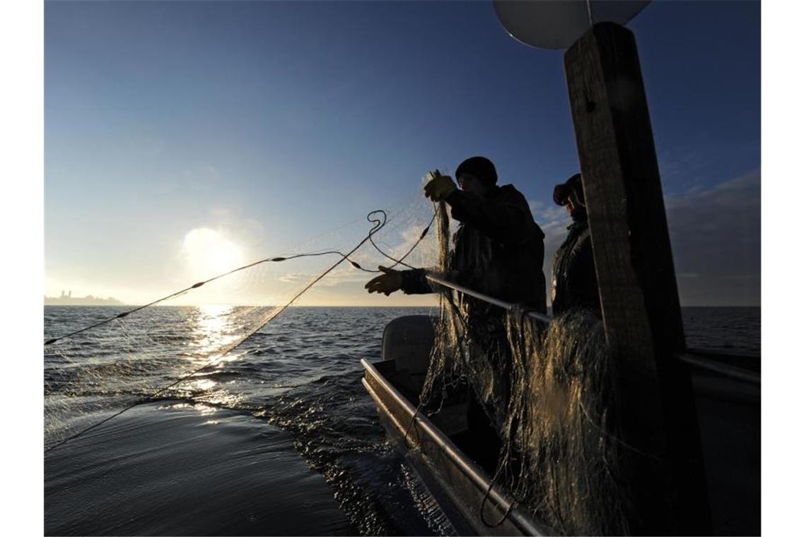 Bodenseefischer mit geringster Fangmenge seit 1910