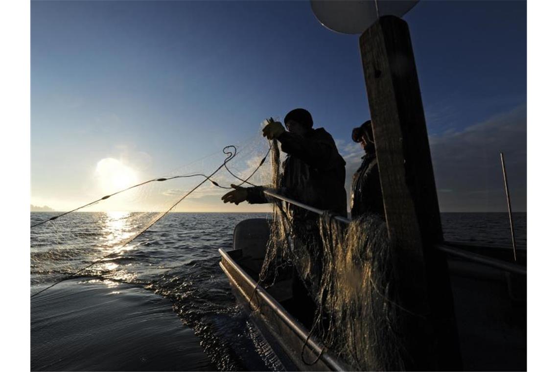 Bodenseefischer mit stabiler Fangmenge im Jahr 2020 Fischer fahren in ihrem Fischerboot vor Friedrichshafen auf dem Bodensee. Foto: Felix Kästle/dpa/Archivbild