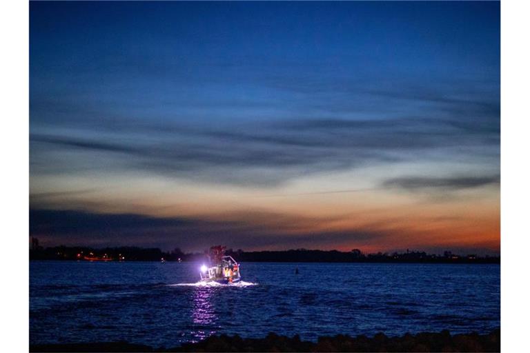 Fischer sind am frühen Morgen mit ihrem Kutter im Greifswalder Bodden unterwegs. Foto: Jens Büttner/dpa-Zentralbild/dpa