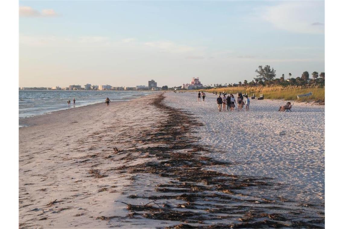 Wetterextreme plagen die USA Fischkadaver an einem Strand in Florida. Ein Massensterben von Meerestieren alarmiert die Wissenschaftler. Foto: Arielle Bader/Tampa Bay Times via ZUMA Press/dpa