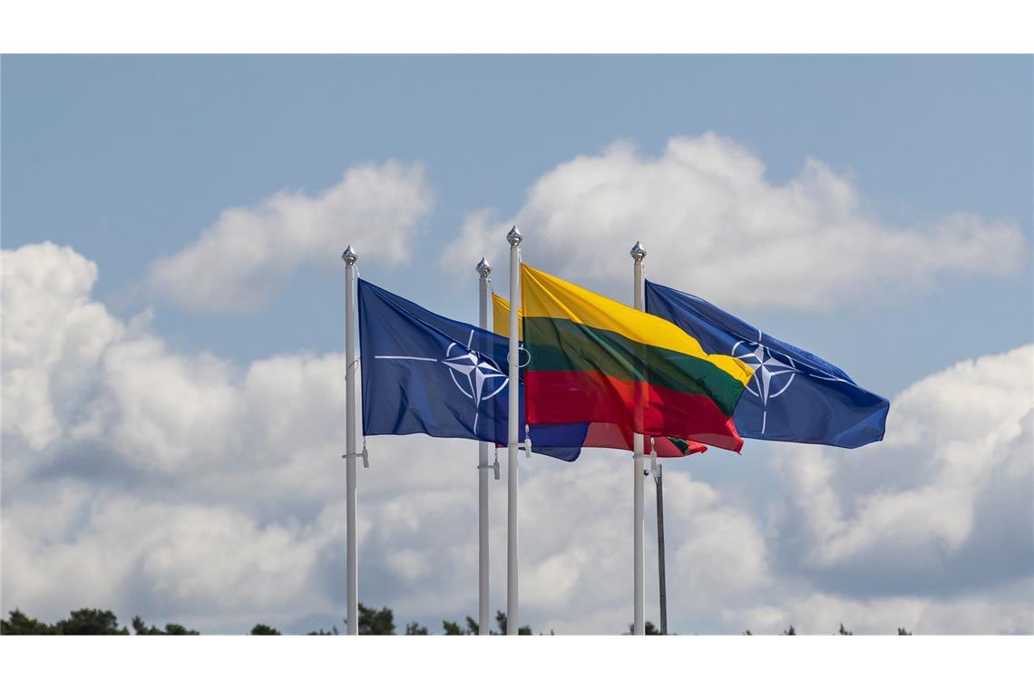 Litauen fordert Hilfe der Nato bei Luftverteidigung an Flaggen der Nato-Mitgliedsländer.
