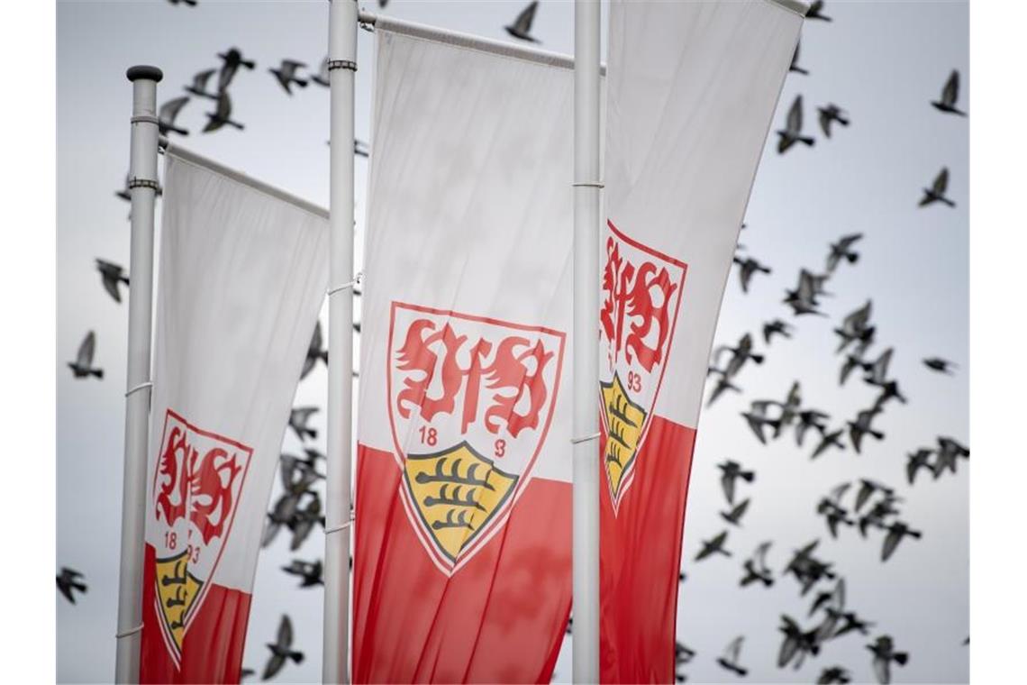 Flaggen mit dem Logo des Fußball-Bundesligisten VfB Stuttgart auf dessen Trainingsgelände. Foto: Fabian Sommer/dpa/Archivbild