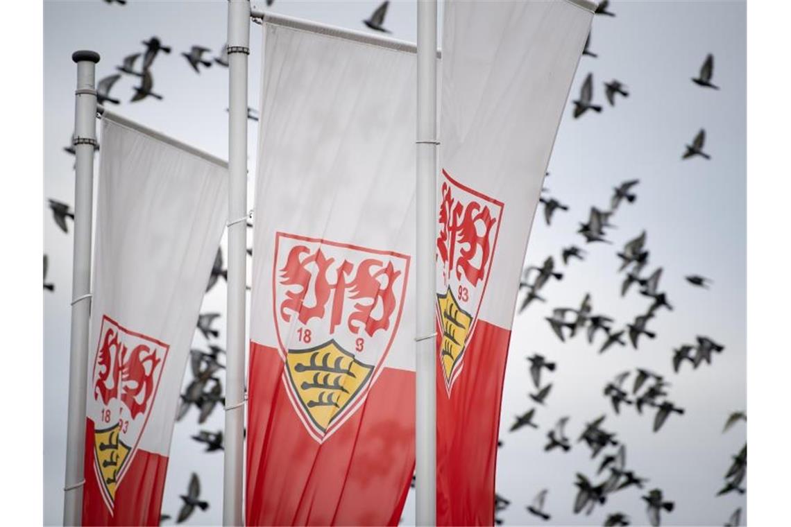 Flaggen mit dem Logo des VfB Stuttgart wehen auf dem Trainingsgelände. Foto: Fabian Sommer/dpa/Archivbild
