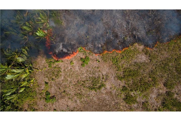 Flammen breiten sich in einem Amazonas-Gebiet aus. (Archivbild)