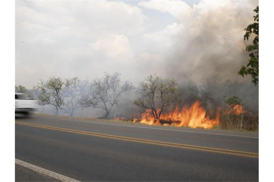 Flammen lodern in einem Waldgebiet am Rand eines Highways. Foto: Andre Penner/AP